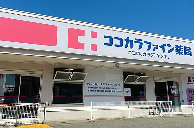 ココカラファイン東花園店（約850m）