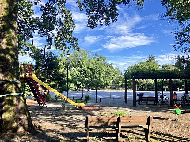 練馬区立 武蔵関公園