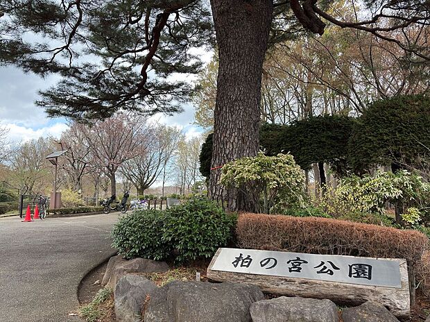 柏の宮公園