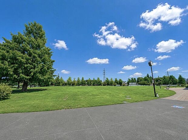 下高井戸おおぞら公園