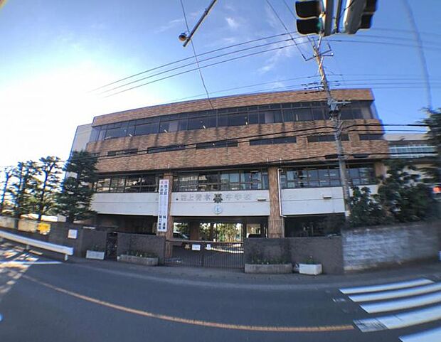 川口市立上青木中学校(約600m・徒歩8分)