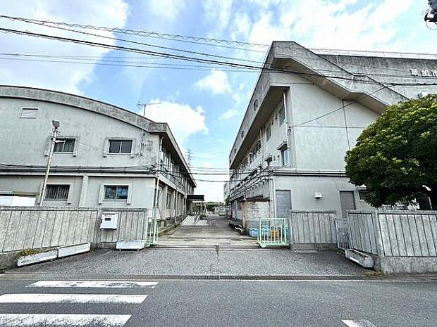 草加市立両新田小学校（約850m）