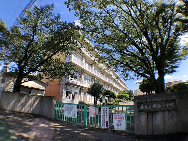 蕨市立塚越小学校（約650m）