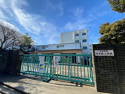 川口市立芝中央小学校 200m(-)