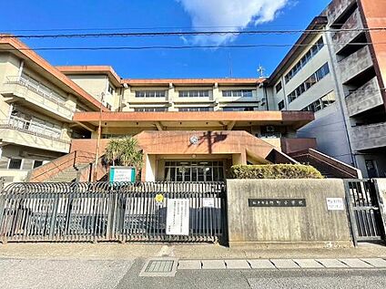 松戸市立旭町小学校 750m(-)