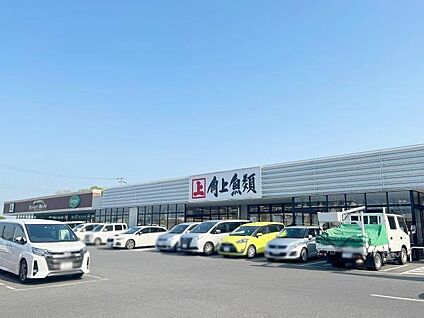 角上魚類越谷店 900m(-)