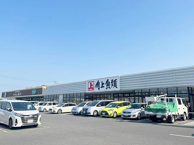 角上魚類越谷店（約900m）