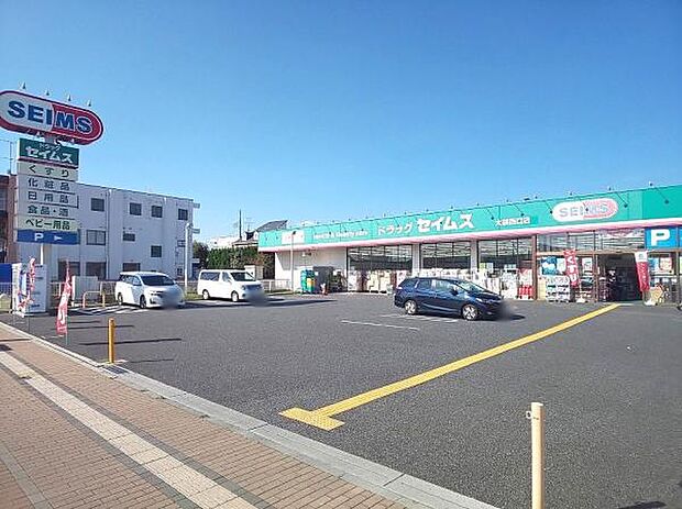 ドラッグセイムス 大袋西口店（約790m）