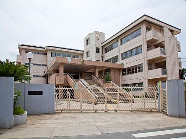 越谷市立大袋東小学校（約30m）