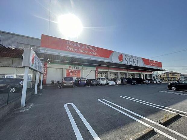 ドラッグストア セキ 吉川店（約490m）