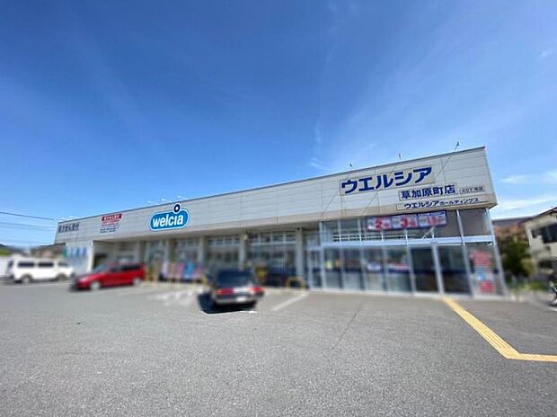 ウエルシア草加原町店（約800m）
