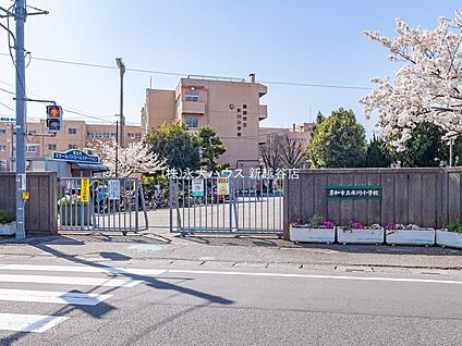 草加市立氷川小学校 460m(-)