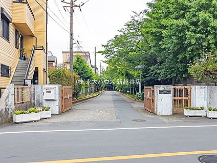 草加市立川柳中学校 1400m(-)