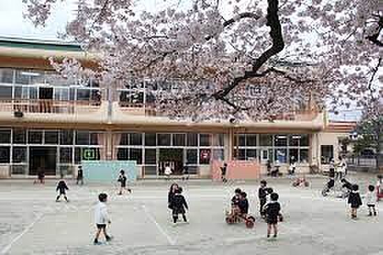 秋川文化幼稚園(約489m・徒歩7分)