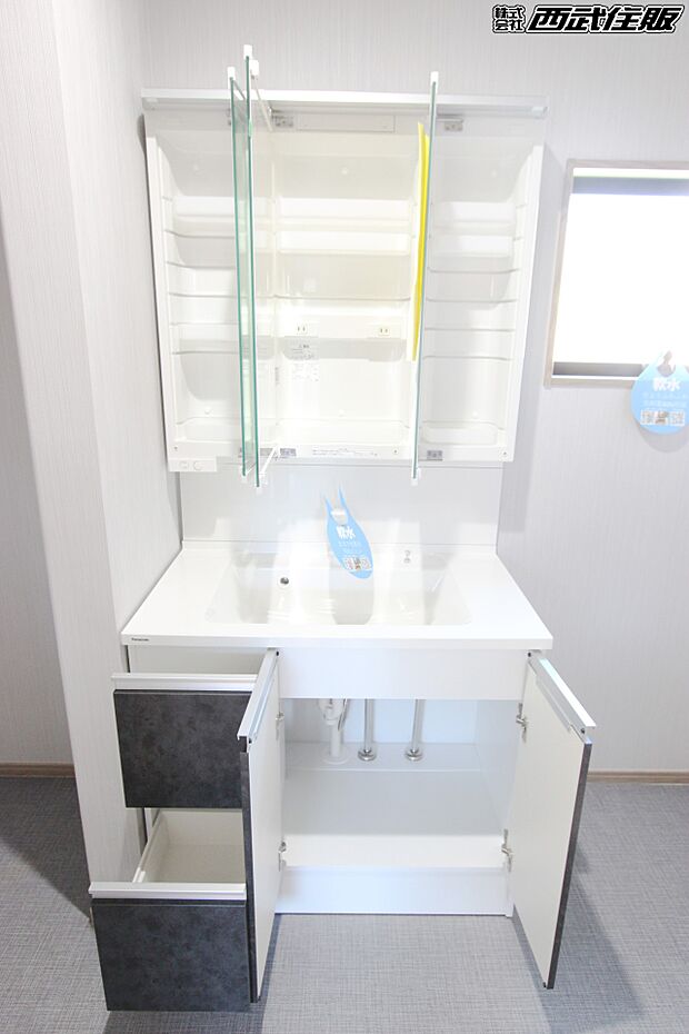 【非公開】【シャワードレッサー】機能的で収納力もある洗面化粧台。同仕様写真