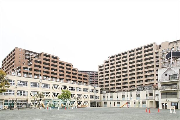 世田谷区立塚戸小学校(約1,105m)