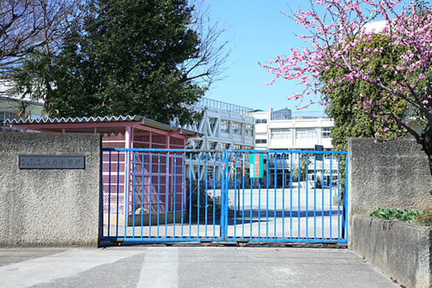 世田谷区立山野小学校(約750m)