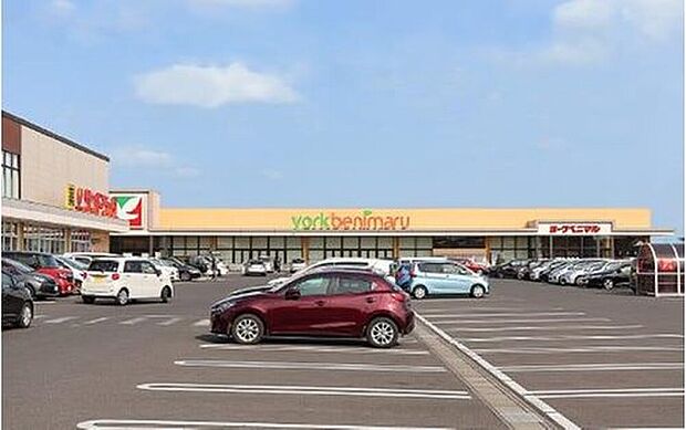 ヨークベニマル小山雨ケ谷店