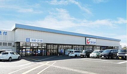 カワチ薬品　栃木インター店 約900ｍ～990ｍ(徒歩12分)