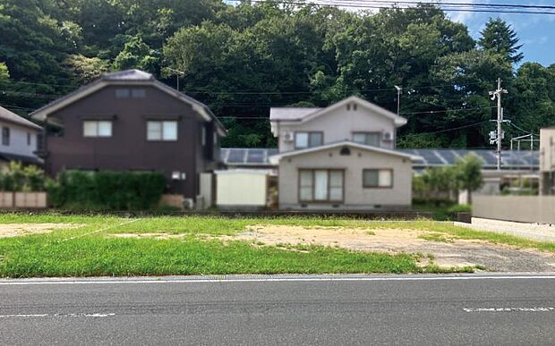 2026年9月撮影