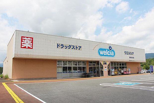 ウエルシア橋本彩の台店(約740m・徒歩10分)