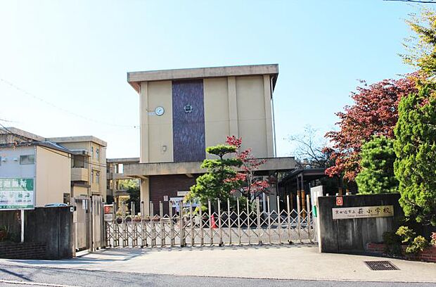 京田辺市立薪小学校（約780m・徒歩10分）