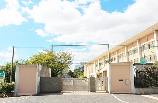 芦屋市立精道小学校(約260m)