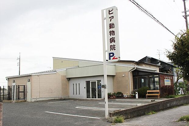 ピア動物病院（約1,490m・徒歩19分）