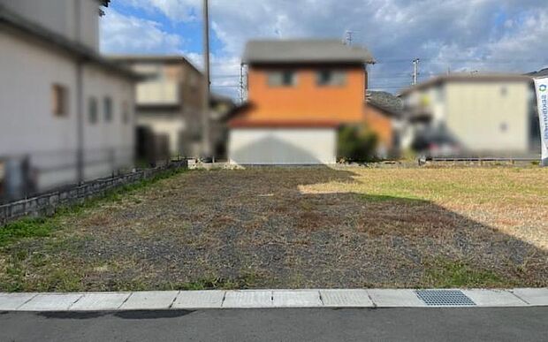 【3号地現地写真】（2024年3月9日撮影）