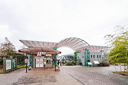 草津市立水生植物公園 みずの森 5840m(-)