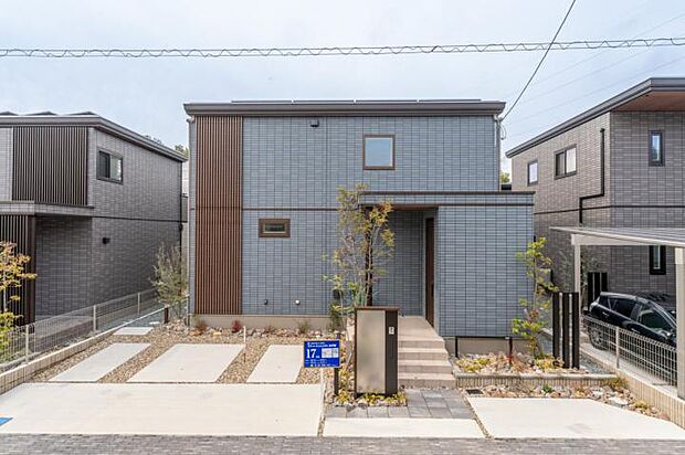【【１７号地】】（2026年3月撮影）