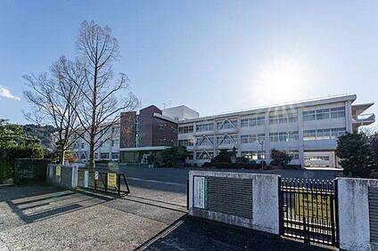 栗東市立栗東中学校 590m(8分)