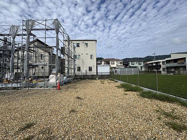 【<4号地>】<4号地>4号地内の東側から撮影。撮影:2026年9月撮影
