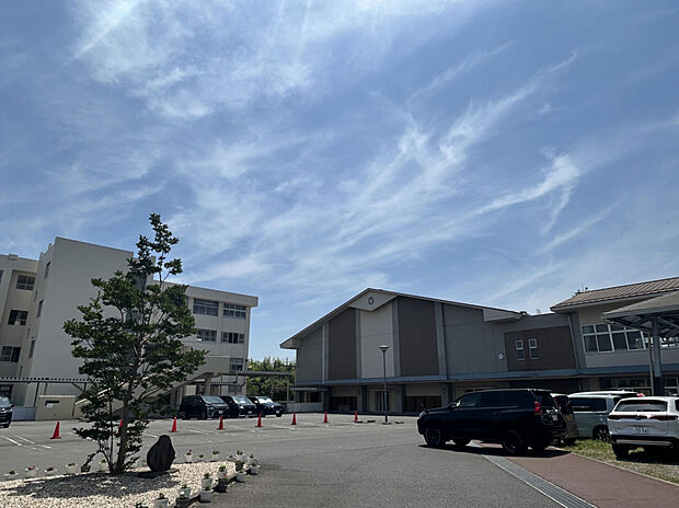 八幡中学校（約800m）