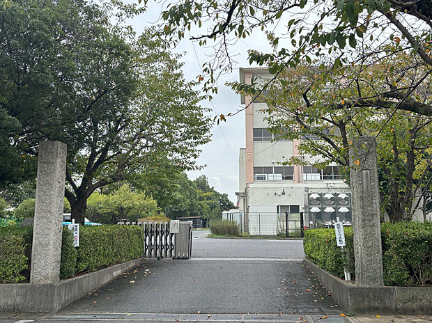 衣浦小学校（約1,000m）