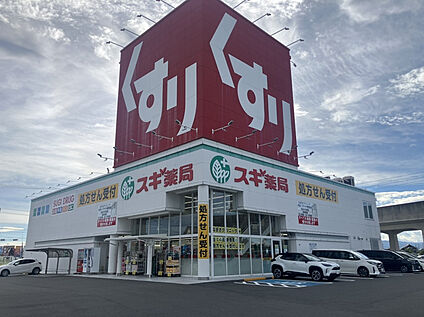 スギ薬局愛西藤浪店 1000m