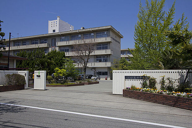 【子育て世帯にもおすすめ】荒井小学校まで徒歩約9分、荒井中学校まで徒歩約4分~5分!低学年のお子さまも通いやすく、9年間の通学も安心。小さなお子さまが遊べる公園も徒歩約2分の距離です。/荒井中学校