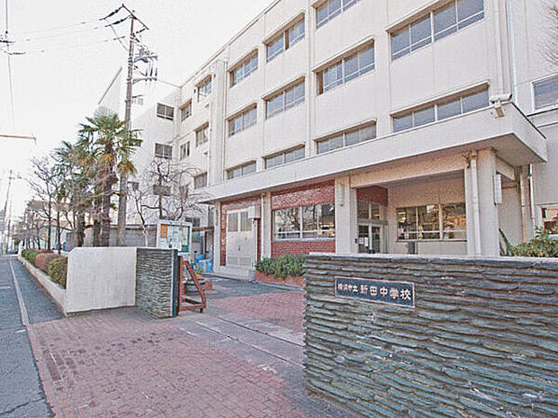 横浜市立新田中学校まで1241m