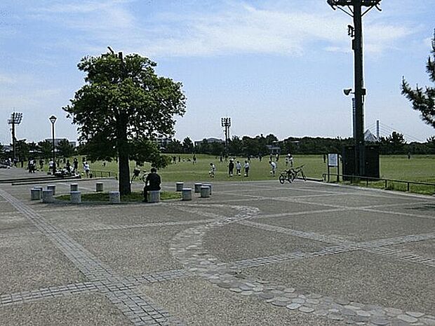海の公園まで655m
