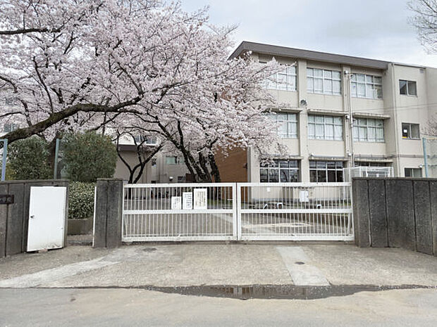 国立市立国立第三中学校まで1436m