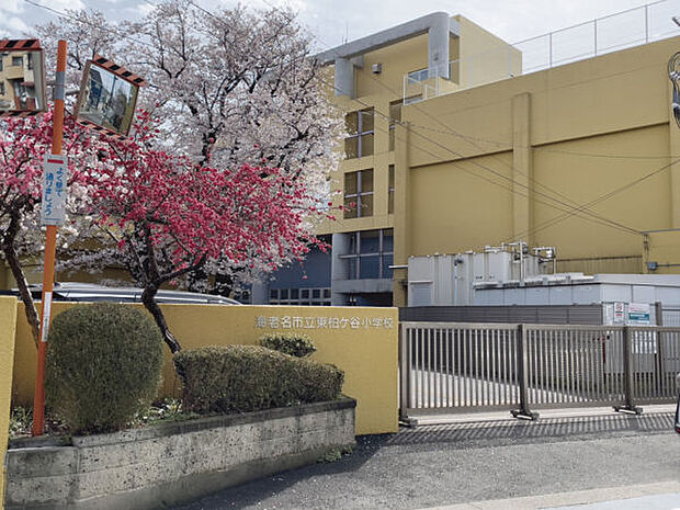 海老名市立東柏ケ谷小学校まで504m