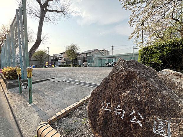 江向公園まで463m