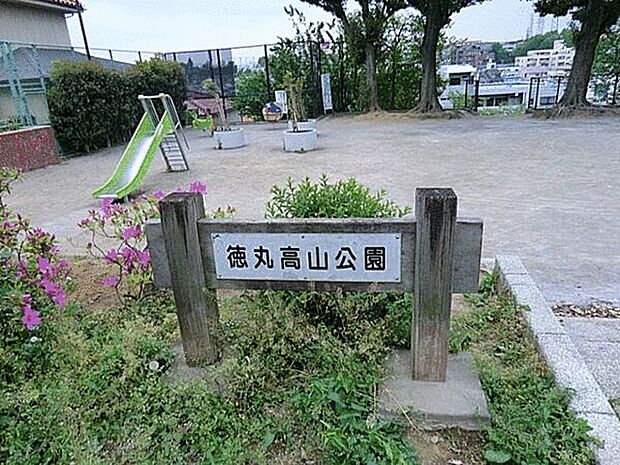 徳丸高山公園まで800m