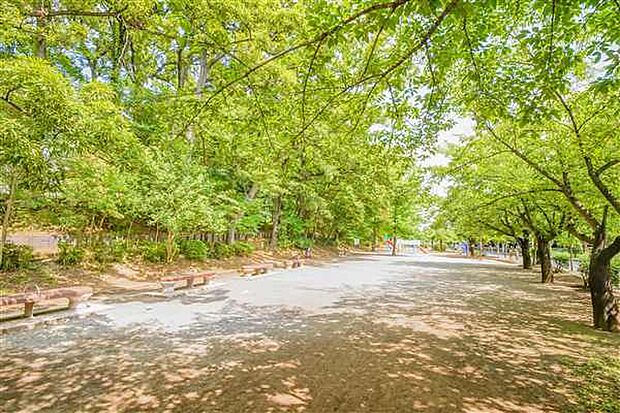 舟山公園まで1091m