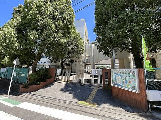 横浜市立中沢小学校まで501m