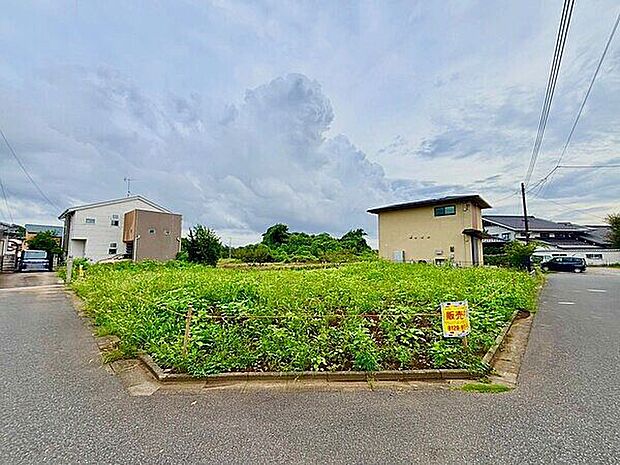 現地（土地）