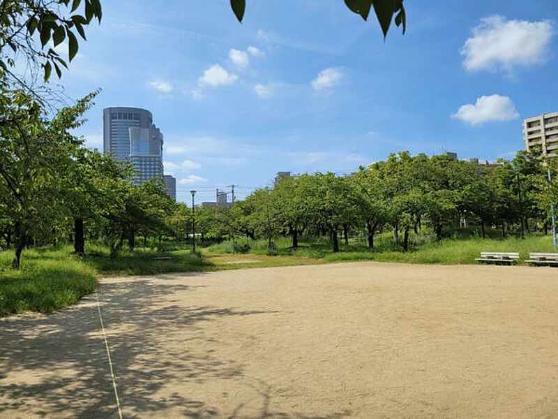 【レジャー】毛馬桜之宮公園