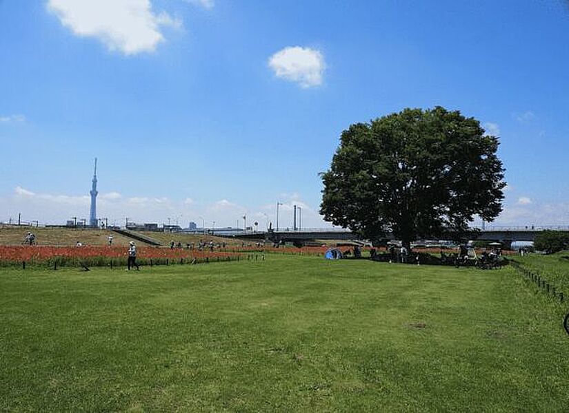 【レジャー】平井運動公園