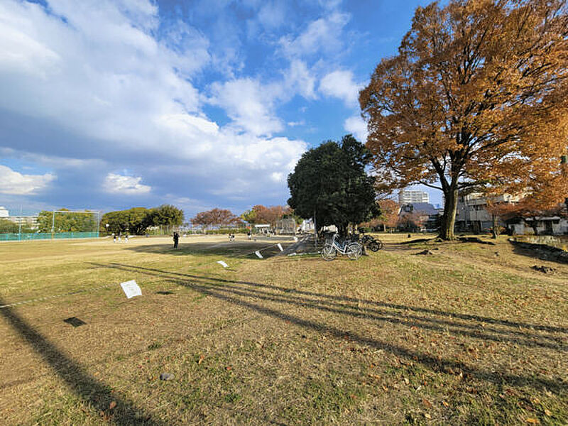 【レジャー】浅香山公園