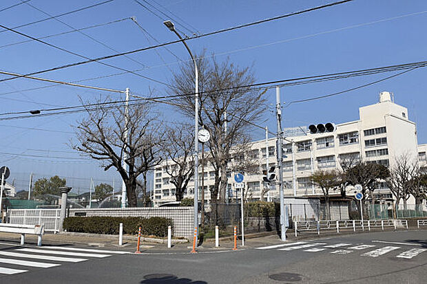 横浜市立日限山小学校（約889m）